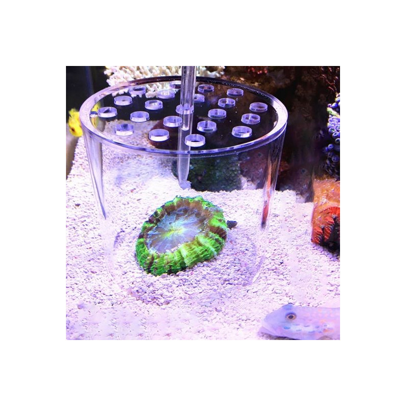 Coral Feeding Cover Ø 80