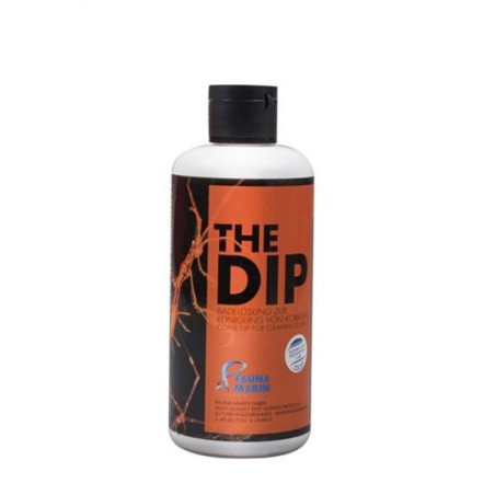Fauna marin the dip