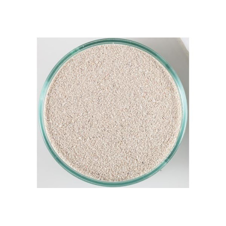 CARIBSEA SABLE VIVANT ARAGALIVE BAHAMAS 0.1-1 mm 9kg