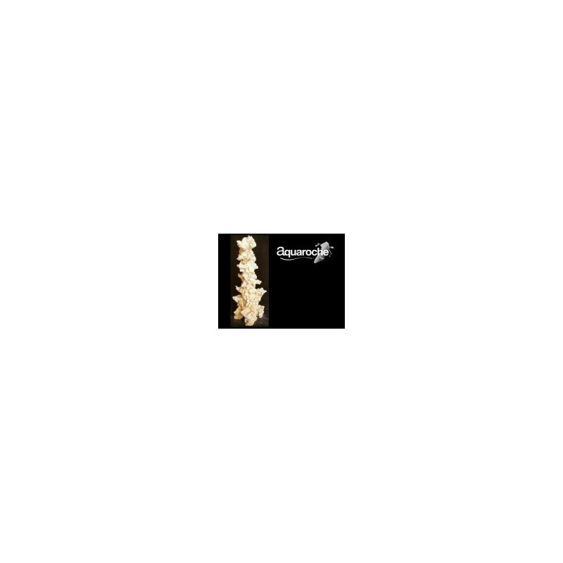 Pilier droit haut. 65/68 cm