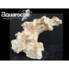 Arche aquascaping haut. 20 cm