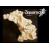 Arche aquascaping haut. 28 cm