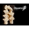 500945 0945 reef scene H 45cm