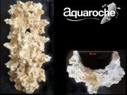 Pilier arrière courbe 64cm Aquaroche (réf. 500964) | Créati'Récif