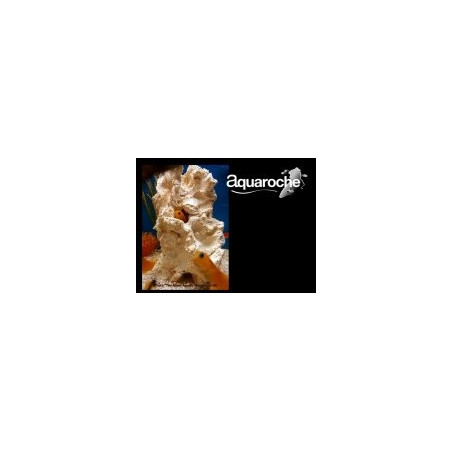 503981 Grotte Jawfish H18cm