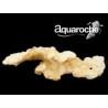 509044 Pont corallien aquaroche