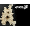 509144 Décor universel 44cm
