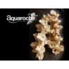 Décor universel 54cm Aquaroche (réf. 509154) | Créati'Récif