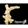 509248 Pilier arche 45cm