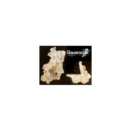 509516 Arche arrière angle droit