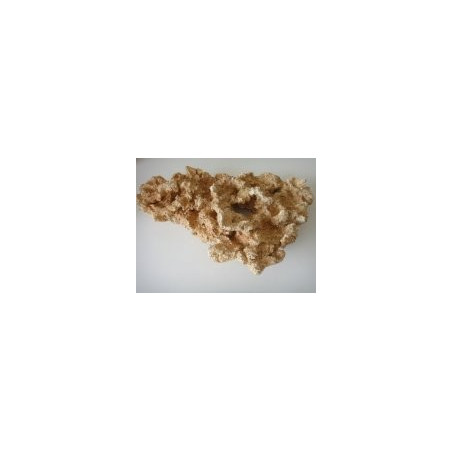 512845 XL Platier 45cm