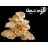 609705 Acroporock base 180° petite