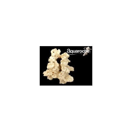 609706 Acroporock base 180° moyenne