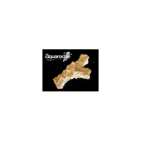 619773 Acroporock branche 18cm