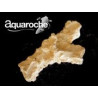 619773 Acroporock branche 18cm