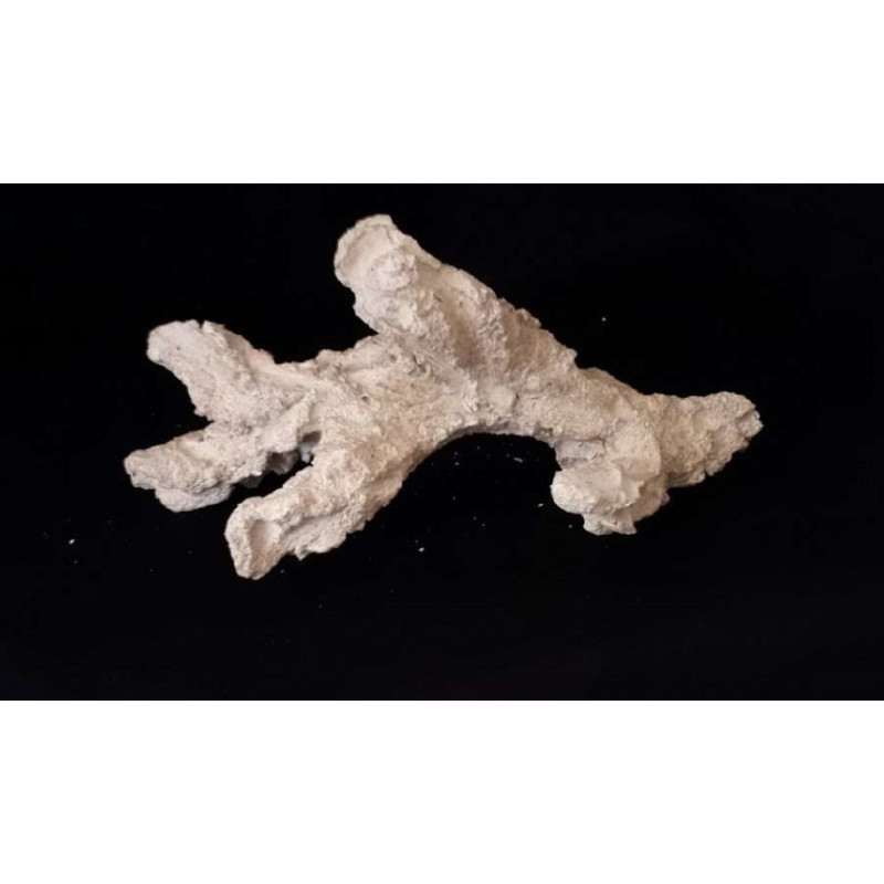 619784 Acroporock XL branche 35/38cm