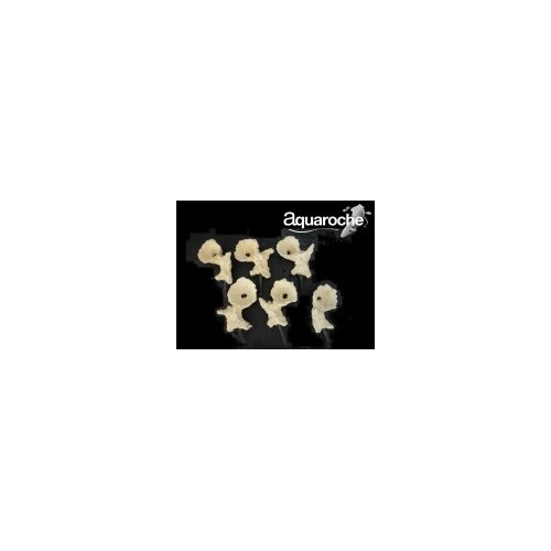 Acroporock lot 6 coupelles Aquaroche 669776 | Créati'Récif
