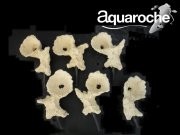 Acroporock lot 6 coupelles Aquaroche 669776 | Créati'Récif