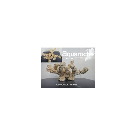 699710 Acroporock kit 15 pièces