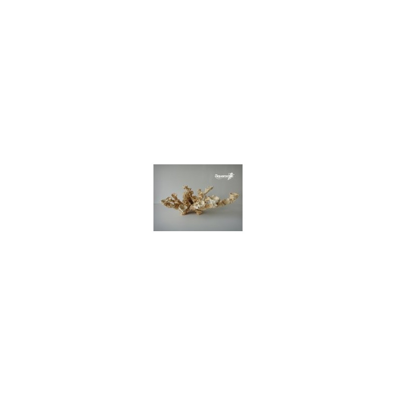 699720 Acroporock kit 22 pièces