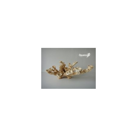 699720 Acroporock kit 22 pièces