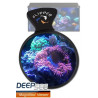 FLIPPER deepsee max - Loupe pour Aquarium