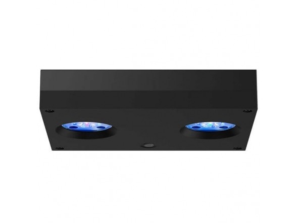AI Hydra 32 HD noir – Rampe LED récifale | Créati'Récif
