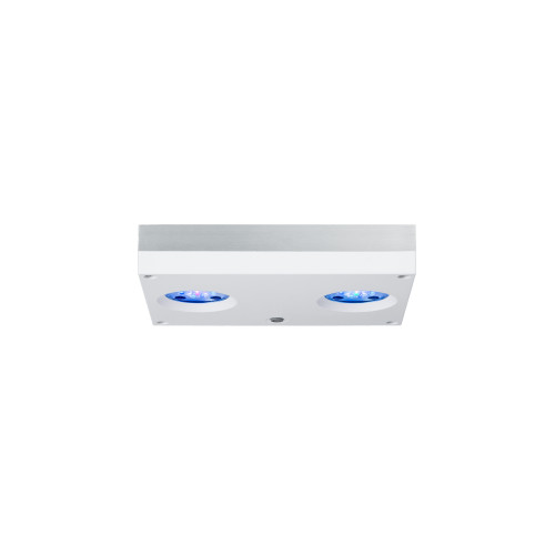 AI Hydra 32 HD blanche – Rampe LED récifale | Créati'Récif