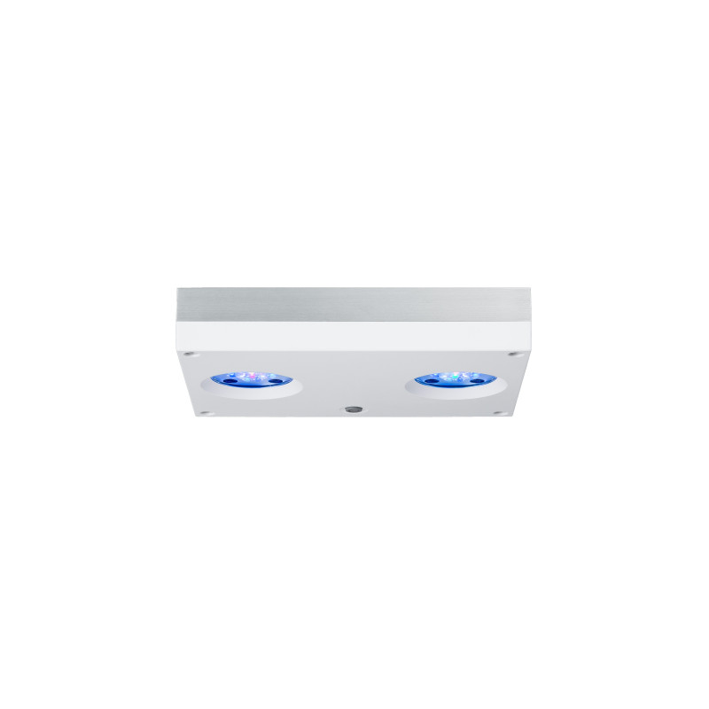 AI Hydra 32 HD blanche – Rampe LED récifale | Créati'Récif