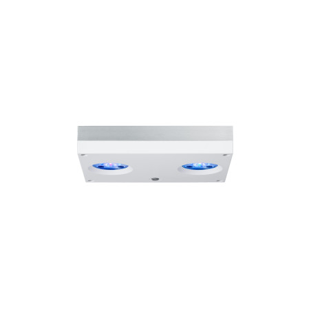 AI Hydra 32 HD blanche – Rampe LED récifale | Créati'Récif