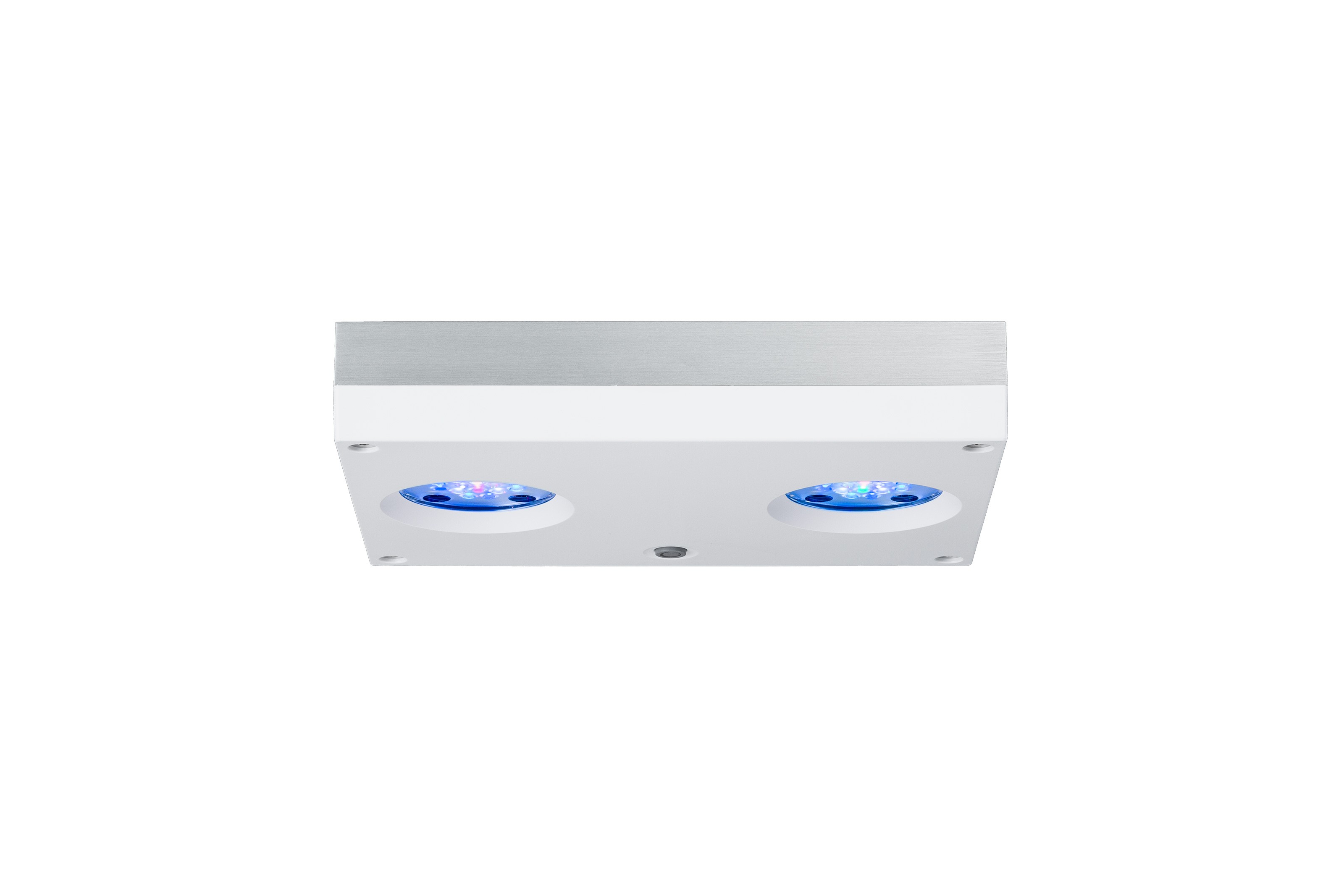 AI Hydra 32 HD blanche – Rampe LED récifale | Créati'Récif