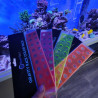 REEFTECH Sous face 18 rouge
