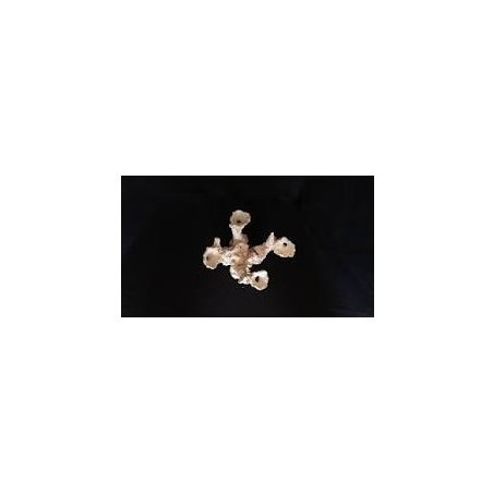 699740 ACROPOROCK NANOKIT 5 PIÈCES