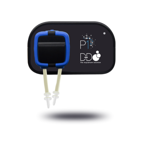 D-D P1 pompe doseuse 1 voie