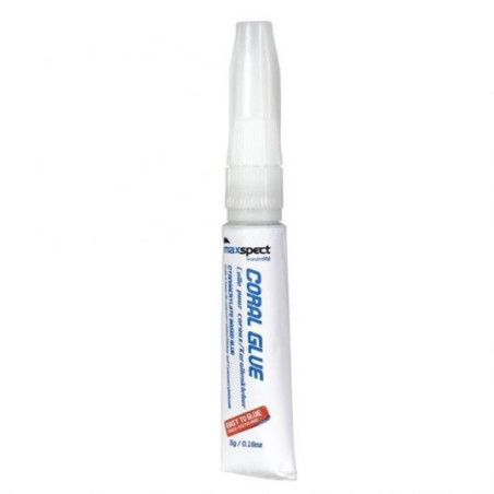 MAXSPECT Colle à coraux 20 x 5G