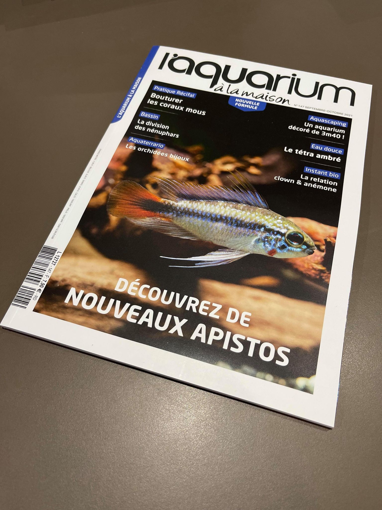 N°147 L'aquarium à la maison septembre/octobre | Créati'Récif
