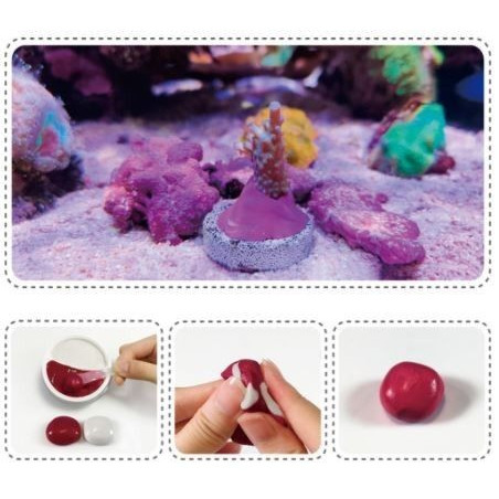 MAXSPECT Coral Putty