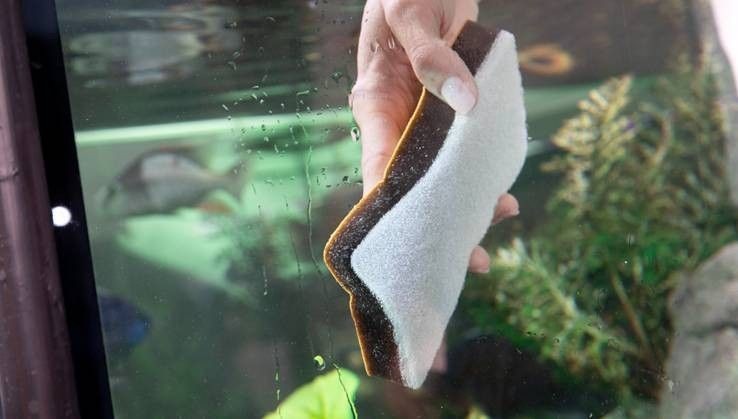 EPONGE CLEAN & DRY