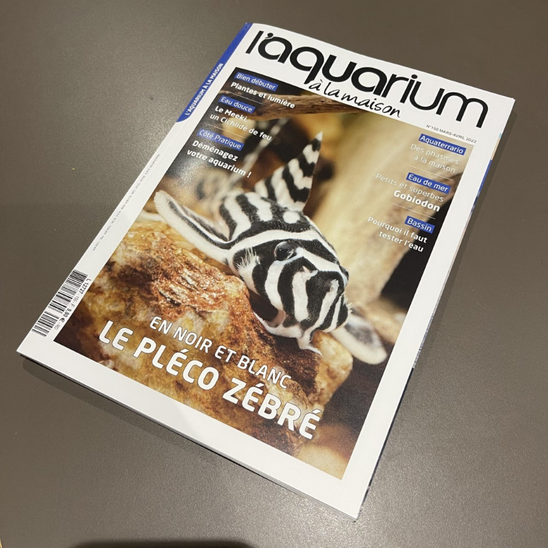 N°150 L'aquarium à la maison