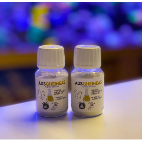 ADS GHEINEAS Bactérie pour aquarium