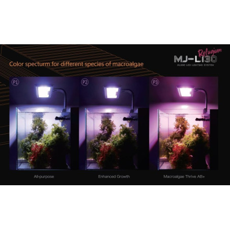 Maxspect Jump LED 30W - Refugium
