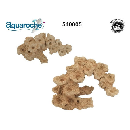540005 Zoa Garden