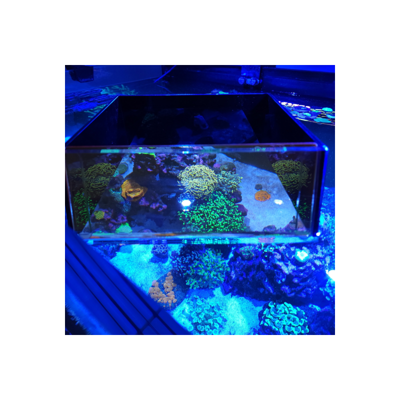 Flipper Top Down Viewer