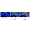Maxspect Pastel Reef Magnifier Lens M