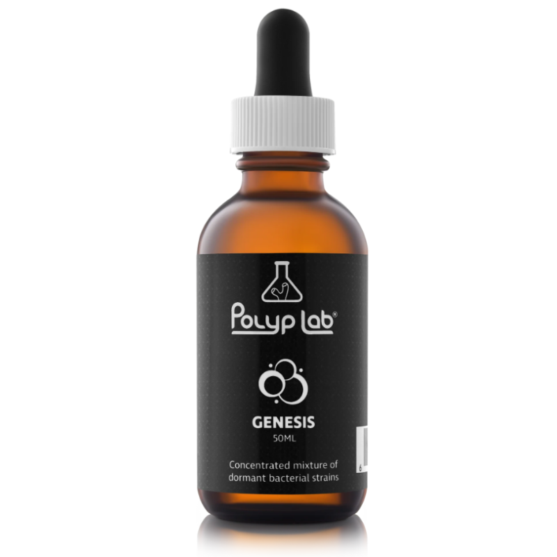 Bactéries Genesis PolypLab 50 ml