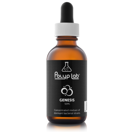 Bactéries Genesis PolypLab 50 ml