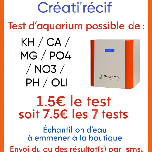 Test Mastertronic en boutique – Test automatique | Créati'Récif