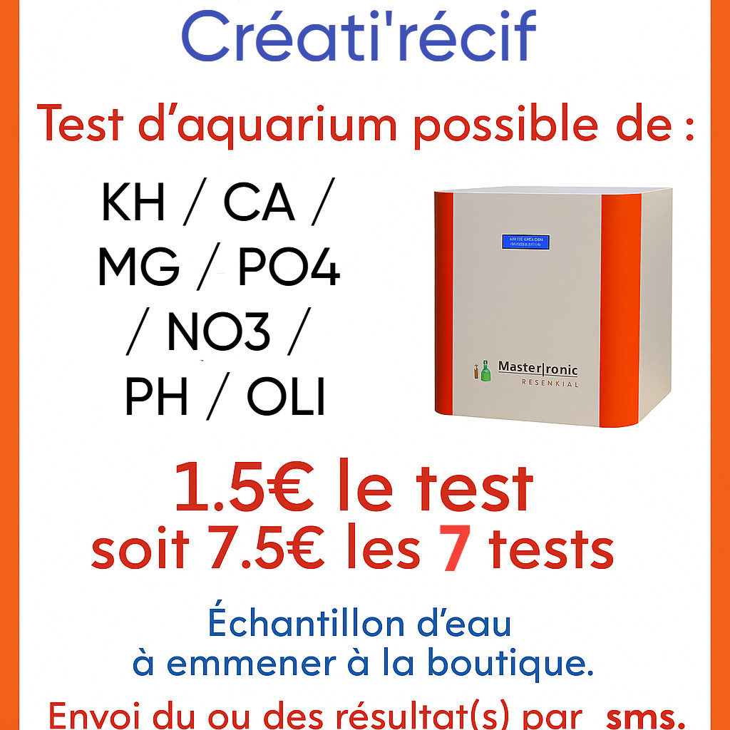 Test Mastertronic en boutique – Test automatique | Créati'Récif