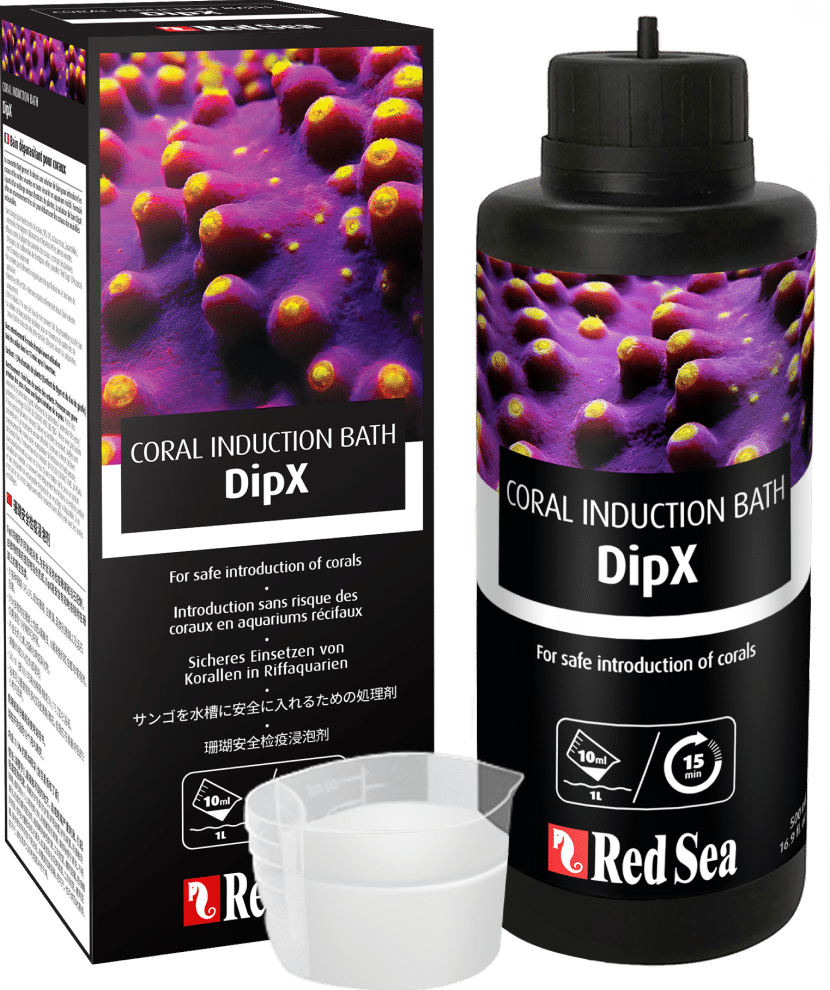 RED SEA DIP X 100ml – Bain coraux | Créati'Récif