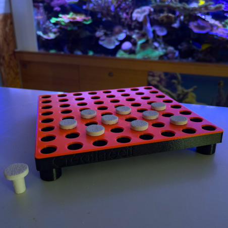 CREATI RECIF Support bouture x64 +10 PLUGS INCLUS black édition